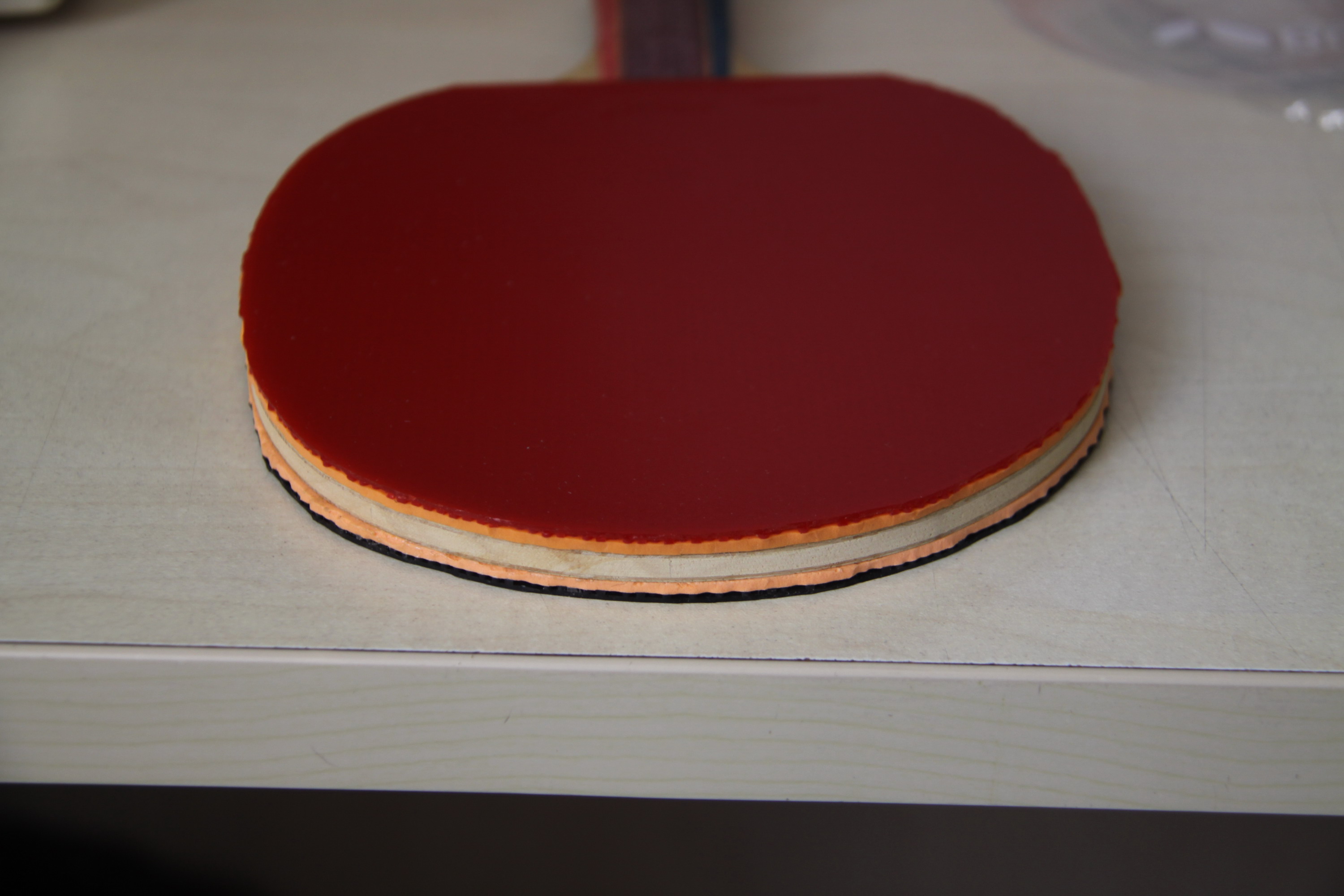 �����r51������