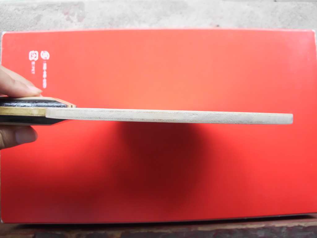 [ԭ��]��������Cryptate  FL  310�����ʣ�