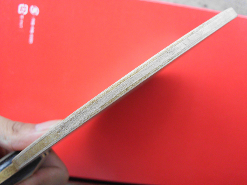 [ԭ��]��������Cryptate  FL  310�����ʣ�