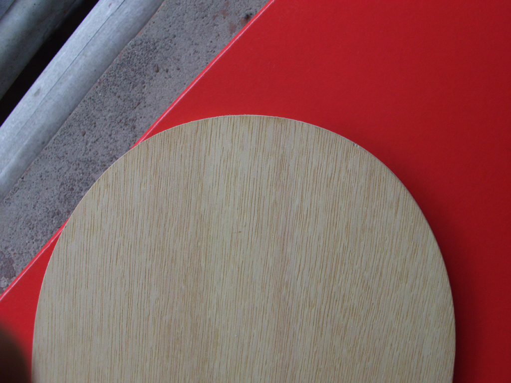 [ԭ��]��������Cryptate  FL  310�����ʣ�