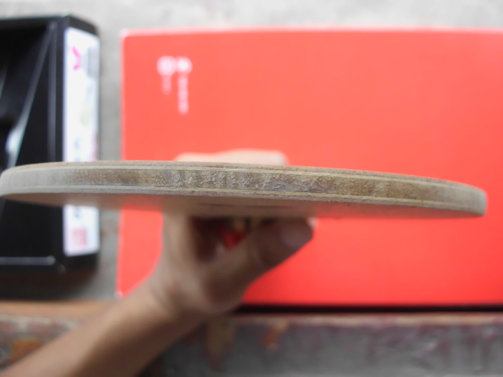 [ԭ��]��������Cryptate  FL  310�����ʣ�