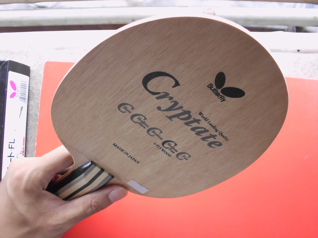 [ԭ��]��������Cryptate  FL  310�����ʣ�