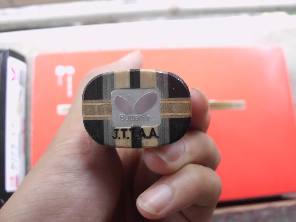 [ԭ��]��������Cryptate  FL  310�����ʣ�