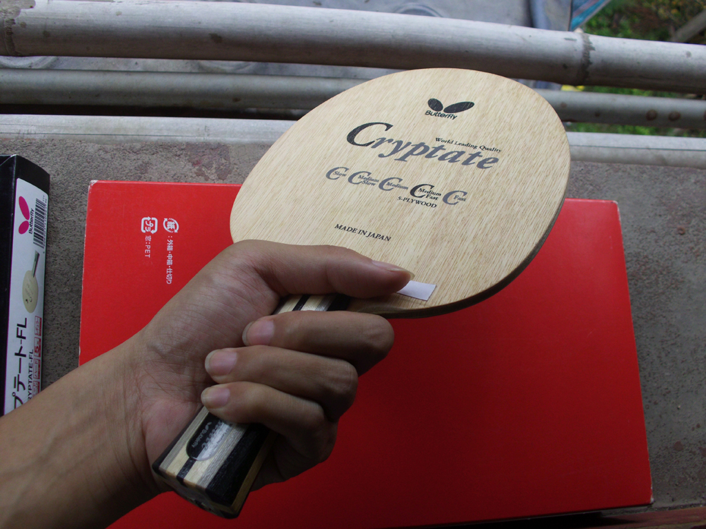 [ԭ��]��������Cryptate  FL  310�����ʣ�