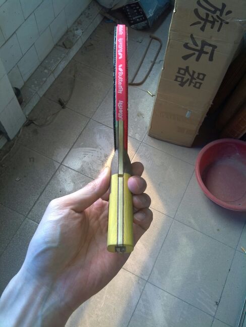 [ԭ��]��ALC����ֱ�壬��WST-80