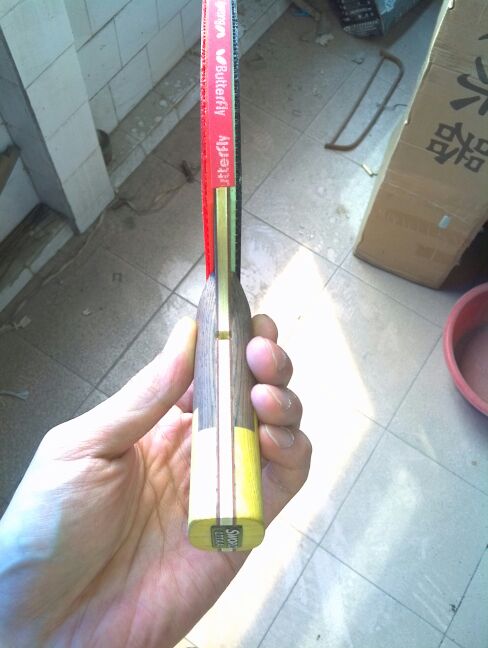 [ԭ��]��ALC����ֱ�壬��WST-80