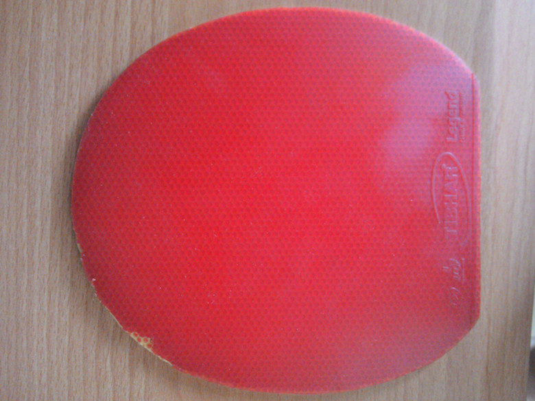 y27P3qXo.jpg