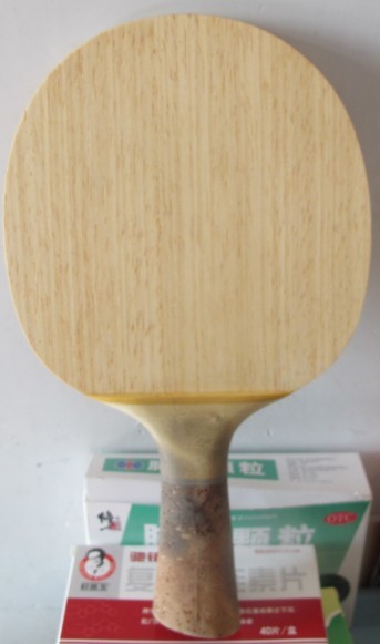 , ���Ӿ��ް�J-1����