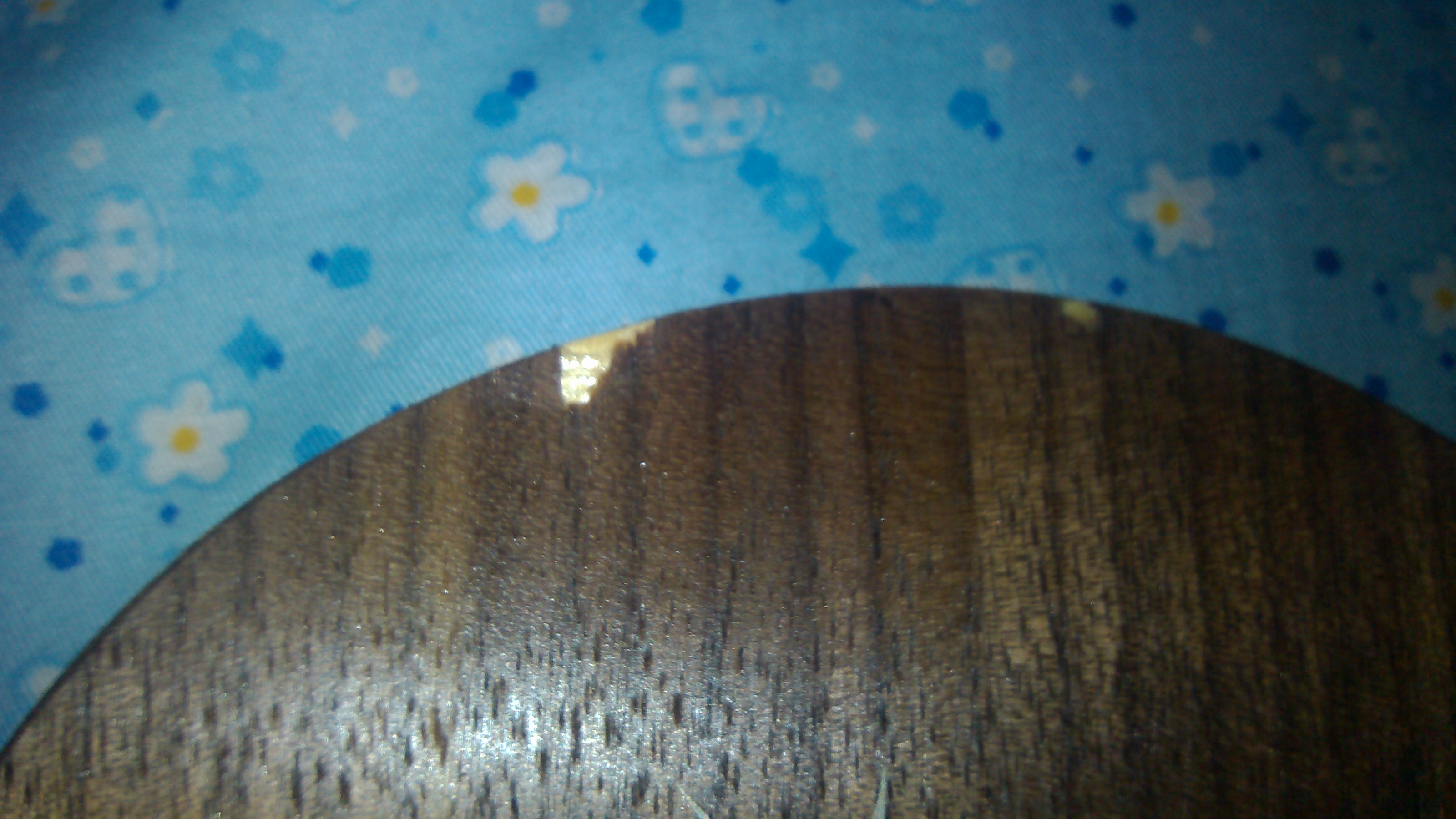 ������YEOһ��300���ʣ��п���~����3�·�ʵ�������л���~�Ϻ����Ե��潻�ף������ط�֧����~��������QQ847140092 �ֻ�����֧��13585677097