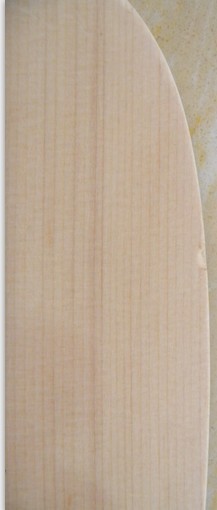 �����������ּӺ�����͡� ֧�����������ϡ�