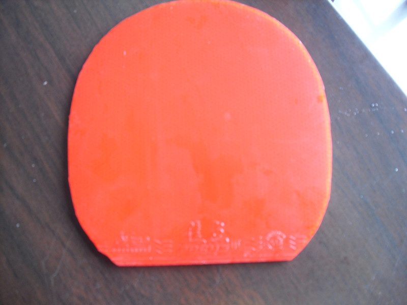 ��9.5���º�����