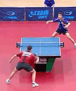 [ԭ��]��8���µĺ�������Ī���Ĵ�ľ150���ʣ�����qq��1489714677