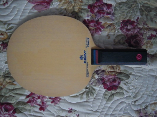 ��ֻXIOM YANUS ST,̼�������,300�����ð���ͨ,����Ȥ����