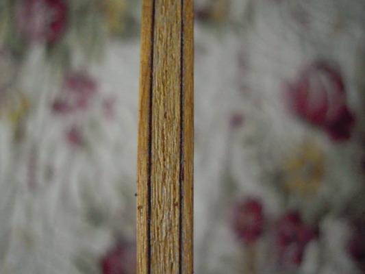 ��ֻXIOM YANUS ST,̼�������,300�����ð���ͨ,����Ȥ����