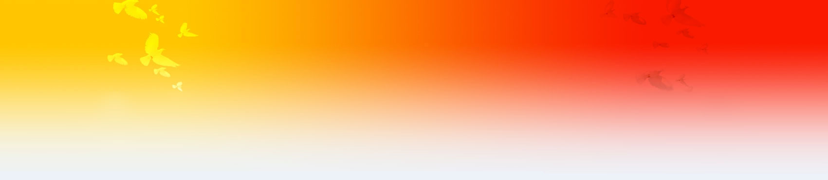 [ԭ��]��8���µĺ�������Ī���Ĵ�ľ150���ʣ�����qq��1489714677