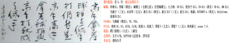 �������һ�� �� FL 310Ԫ