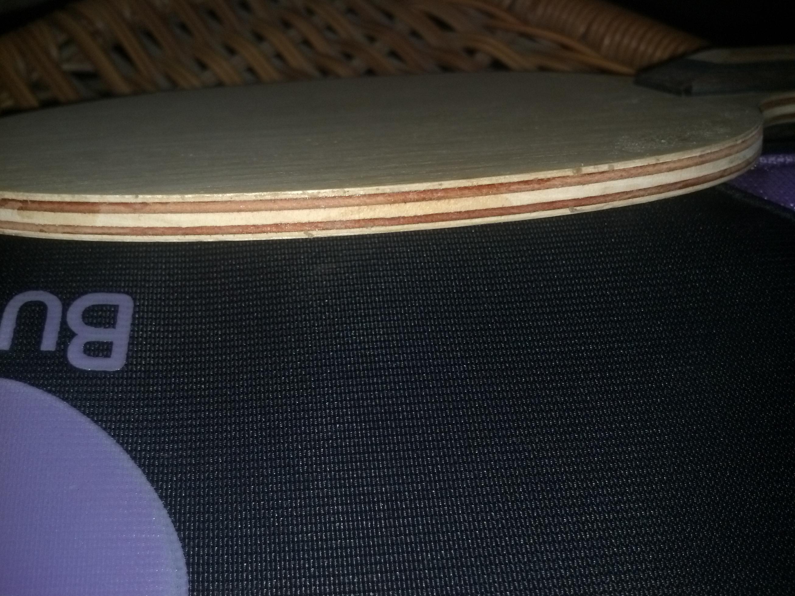 �ڶ������������ִ���רҵ�棨���FL��,89�ˣ�580Ԫ����