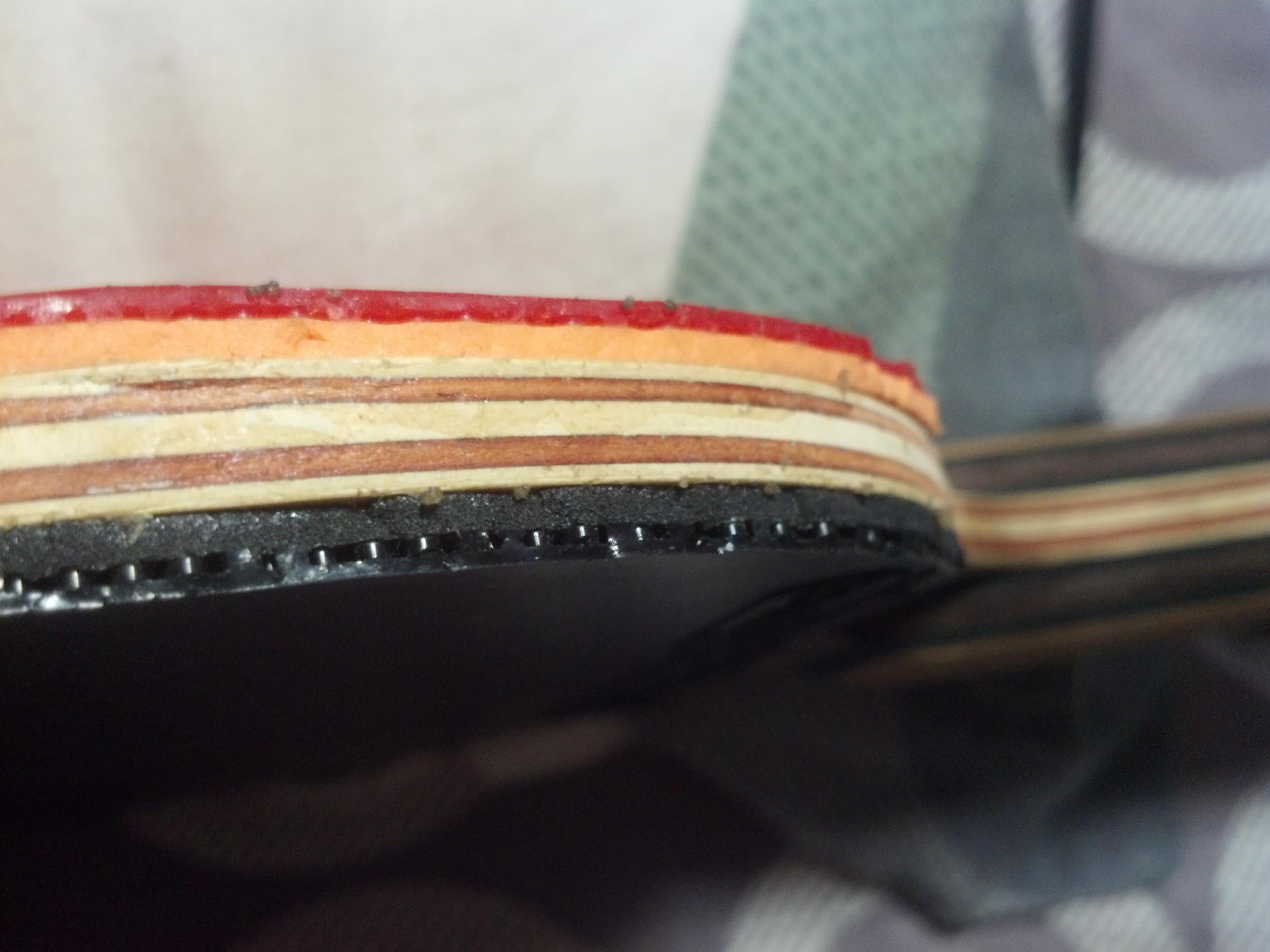 �ڶ������������ִ���רҵ�棨���FL��,89�ˣ�480Ԫ����