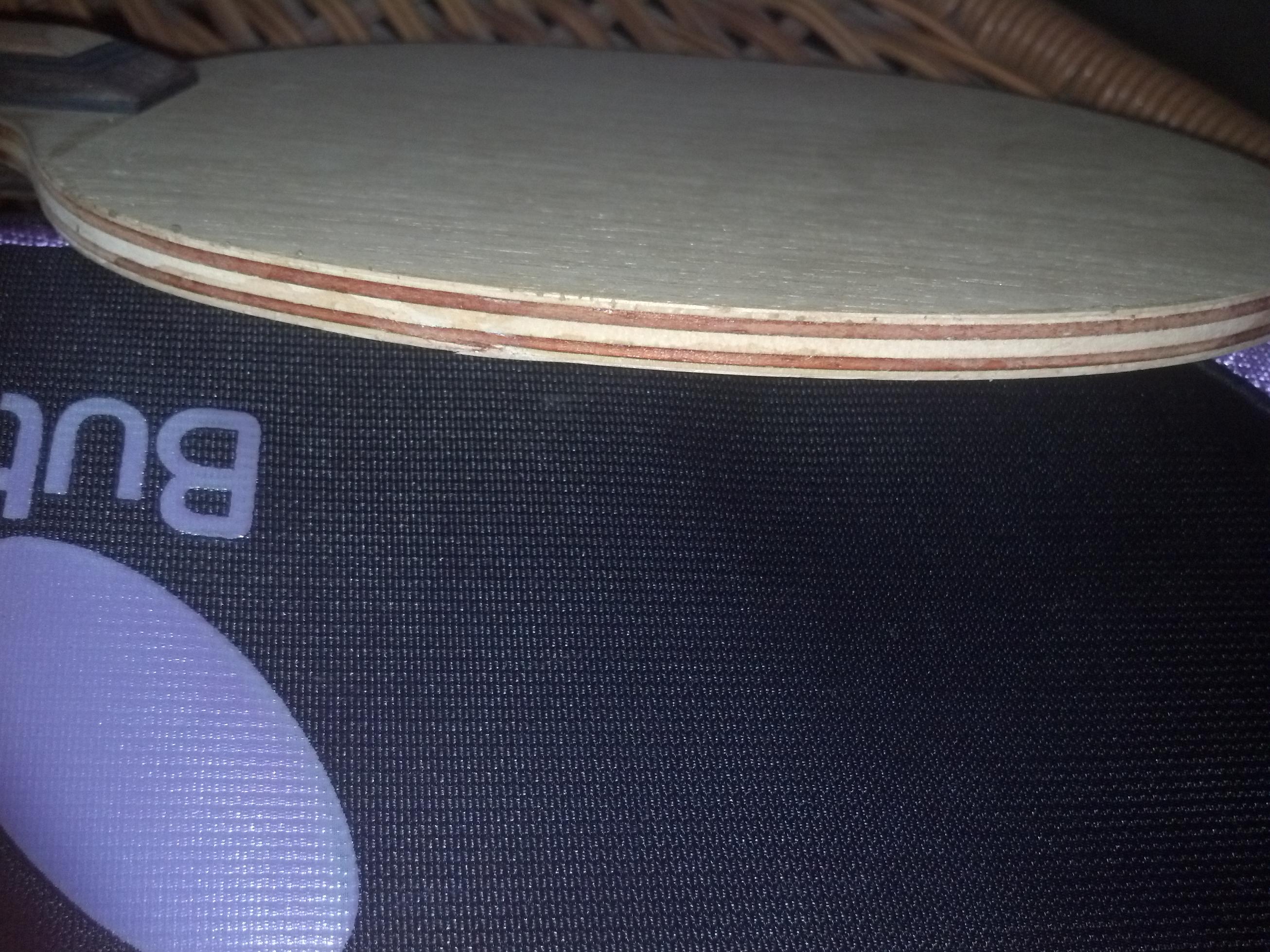 �ڶ������������ִ���רҵ�棨���FL��,89�ˣ�480Ԫ����