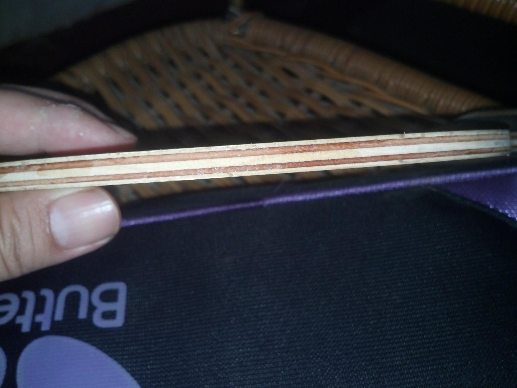 �ڶ������������ִ���רҵ�棨���FL��,89�ˣ�480Ԫ����