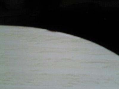 ������zlc���