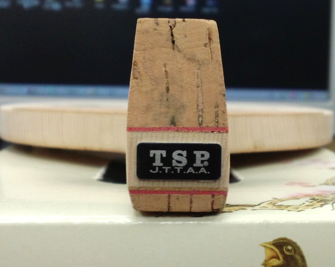 ɹҵĵ(ʮһʮ)֧TSP dynamic 10.5mm