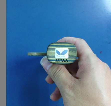 ��2ֻvis�����е�С��