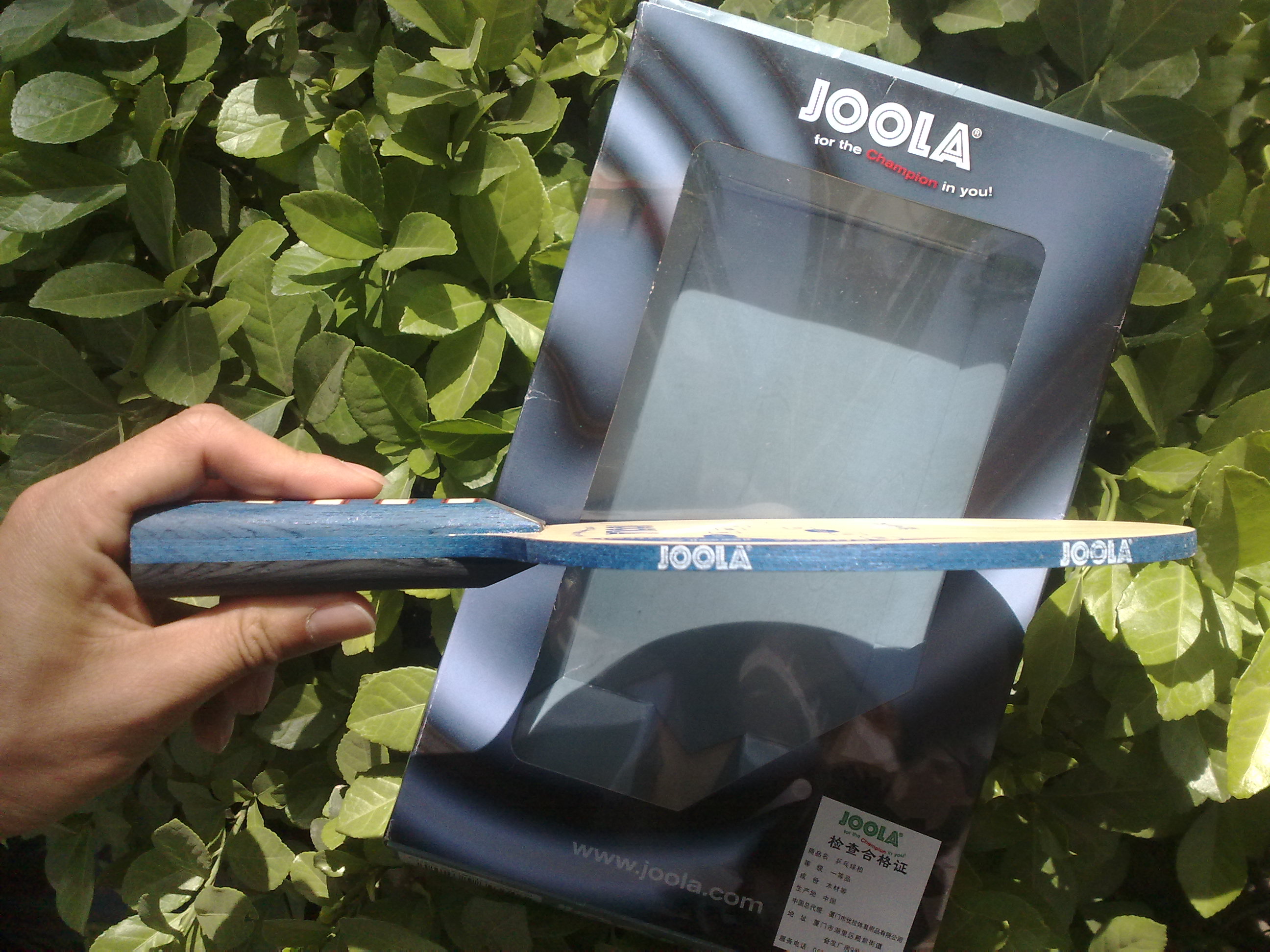 ��������ڰ˲���������������һ�飬֧��������