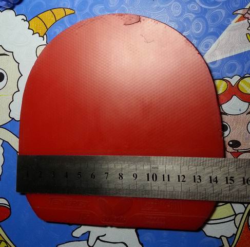 QHP0hu6p.jpg