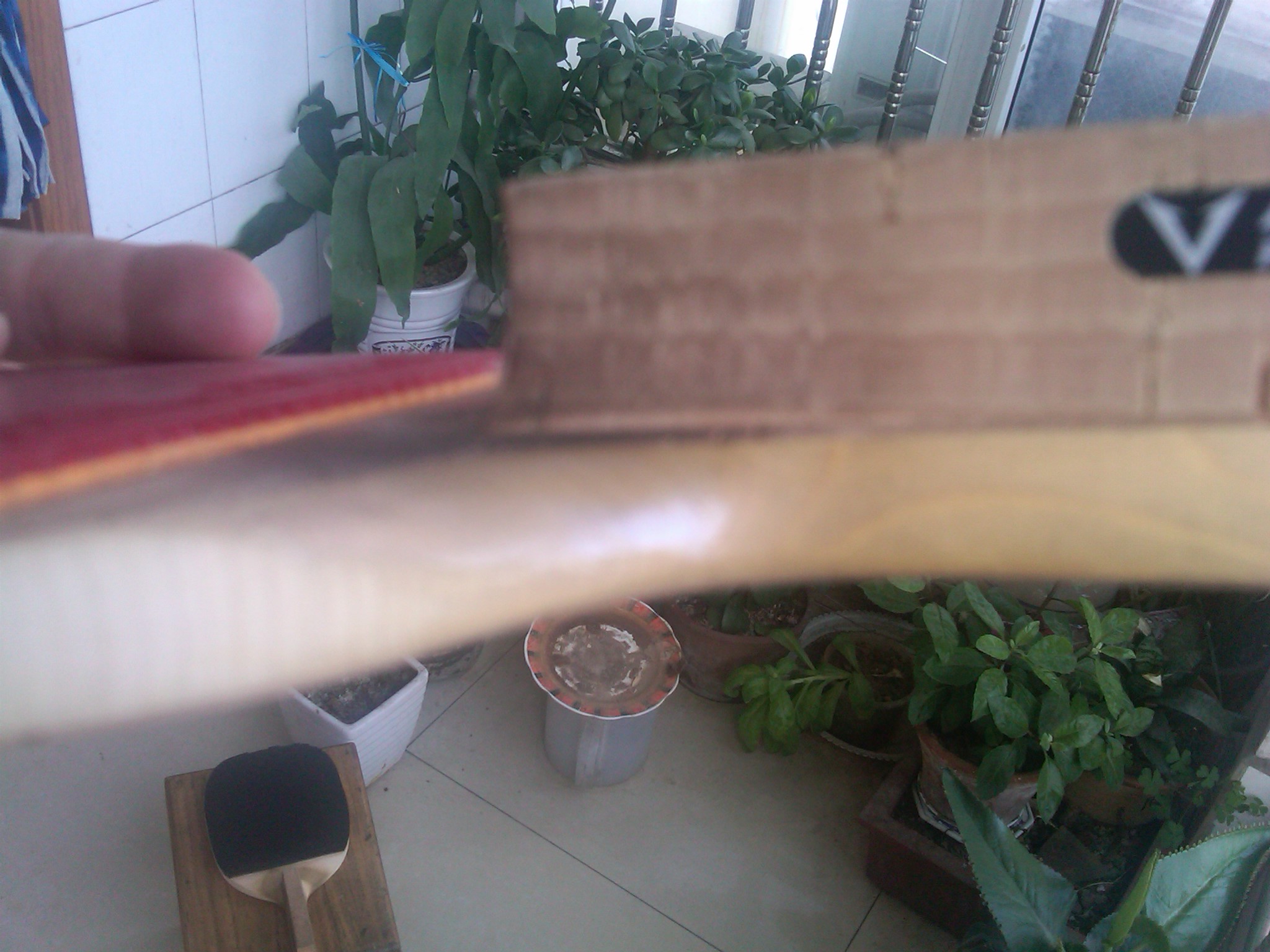 �����׽���ע