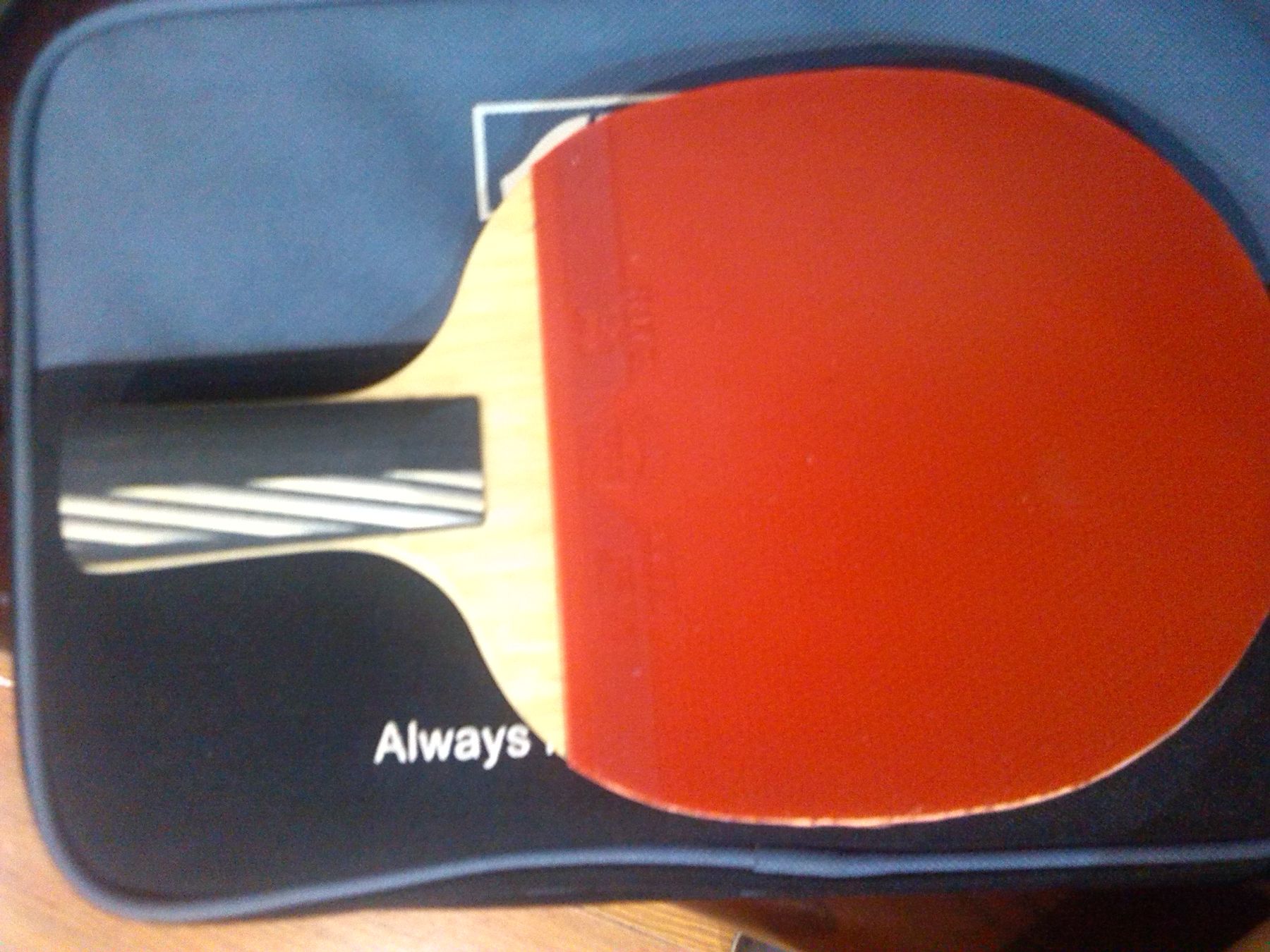 ת�ðױ���꣬ϲ����������