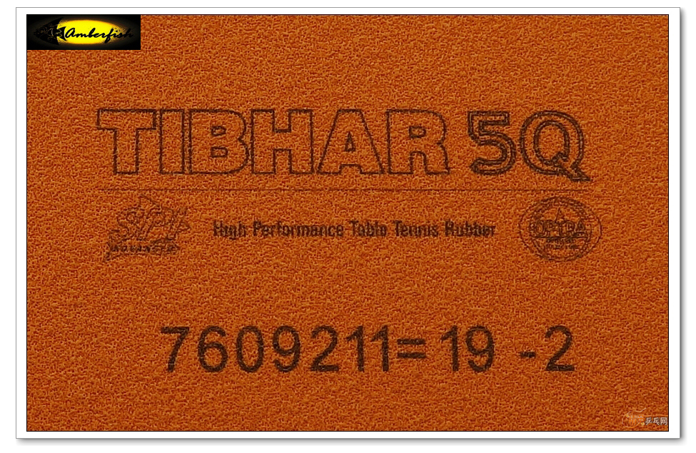 61y765FP.jpg