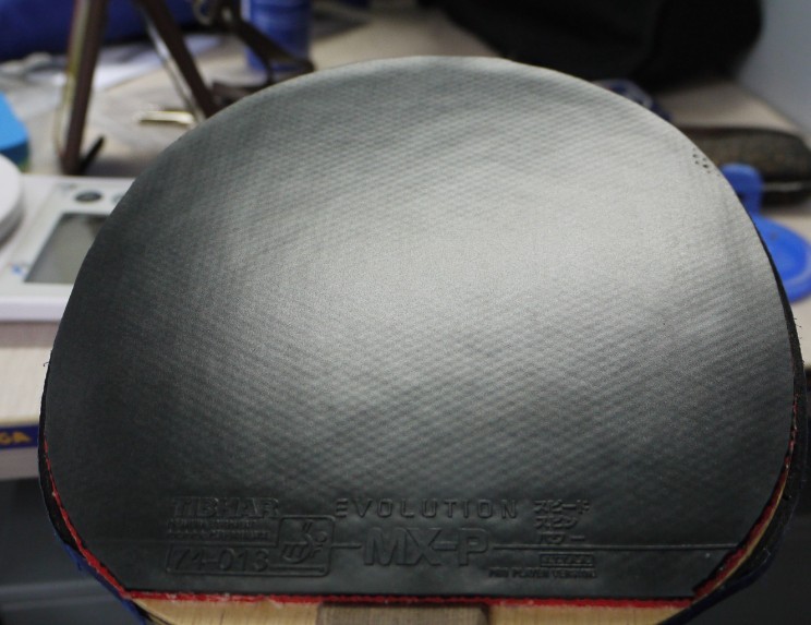 ͦ��EVOLUTION MX-P��ST��Lialox