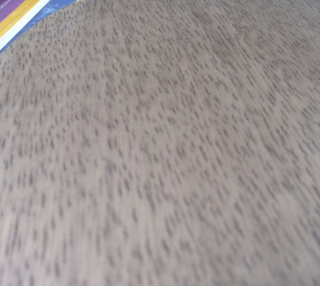 ������FL  MASTER�ֱ�˹�ۿ��ϰ汾��5.4