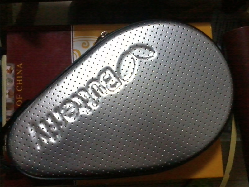 ���һֻVIS����------�л� �İ� ��V