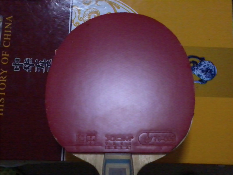 ���һֻVIS����------�л� �İ� ��V