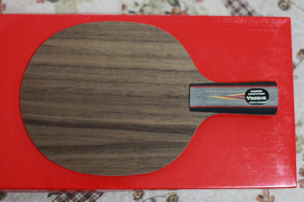 9����YES������YSC ������̼��