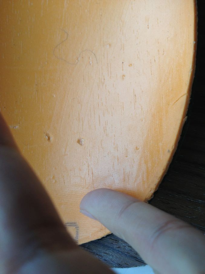 [ԭ��]���л� stigaõ��xo ������