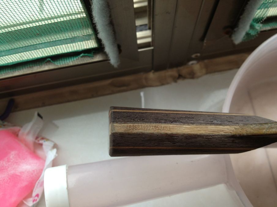 ���л� stigaõ��xo ������