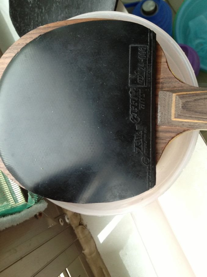 ���л� stigaõ��xo ������