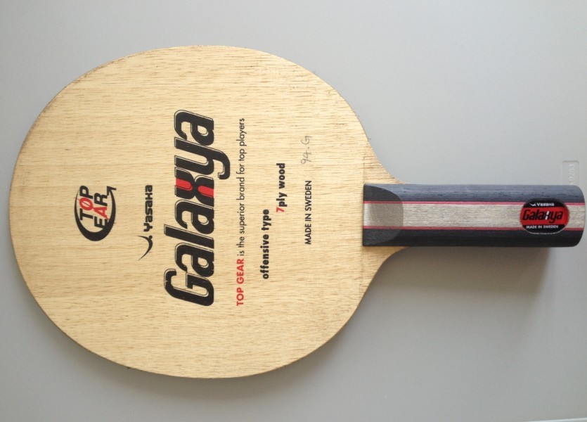 yasaka YG 300����