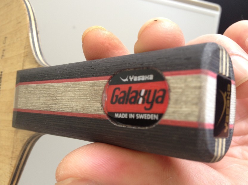 yasaka YG 300����