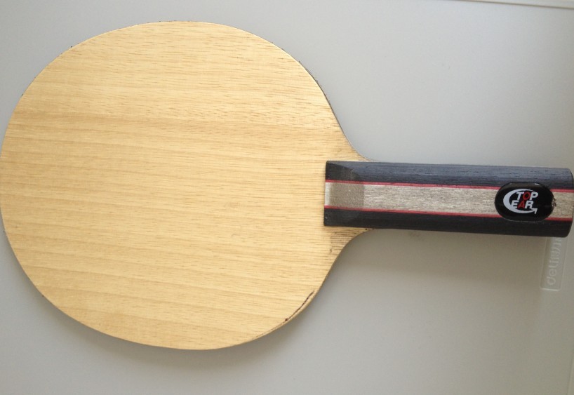 yasaka YG 300����