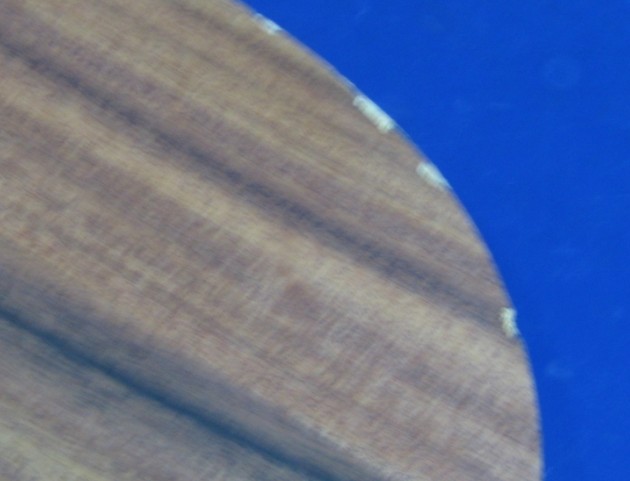 ����α�붼��ƨ�ɺ�������л�˹�ٿ�  õ����  ����̼���ƻ������