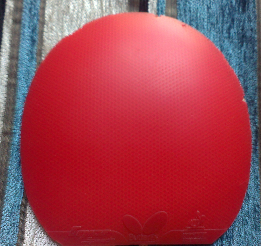 230ʳƴ