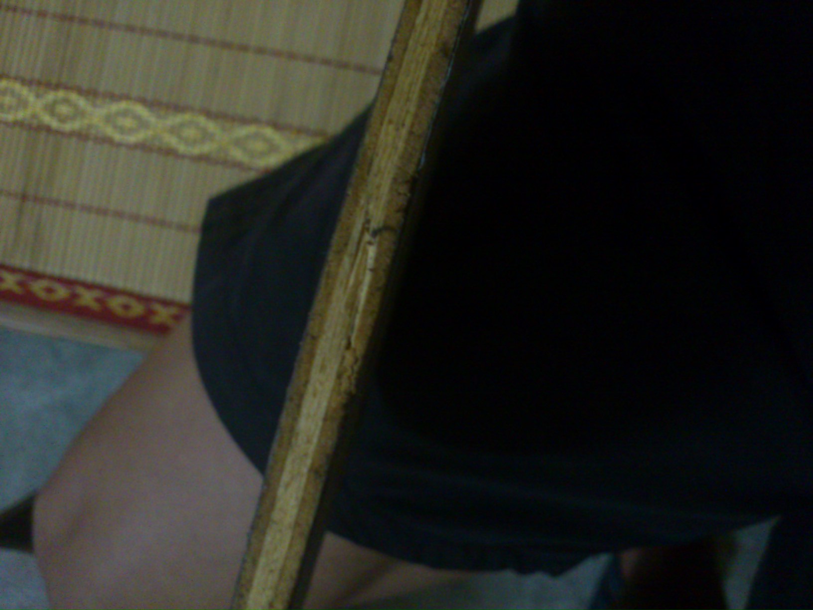 EG100.ANV-WL300,���������99�׵�����