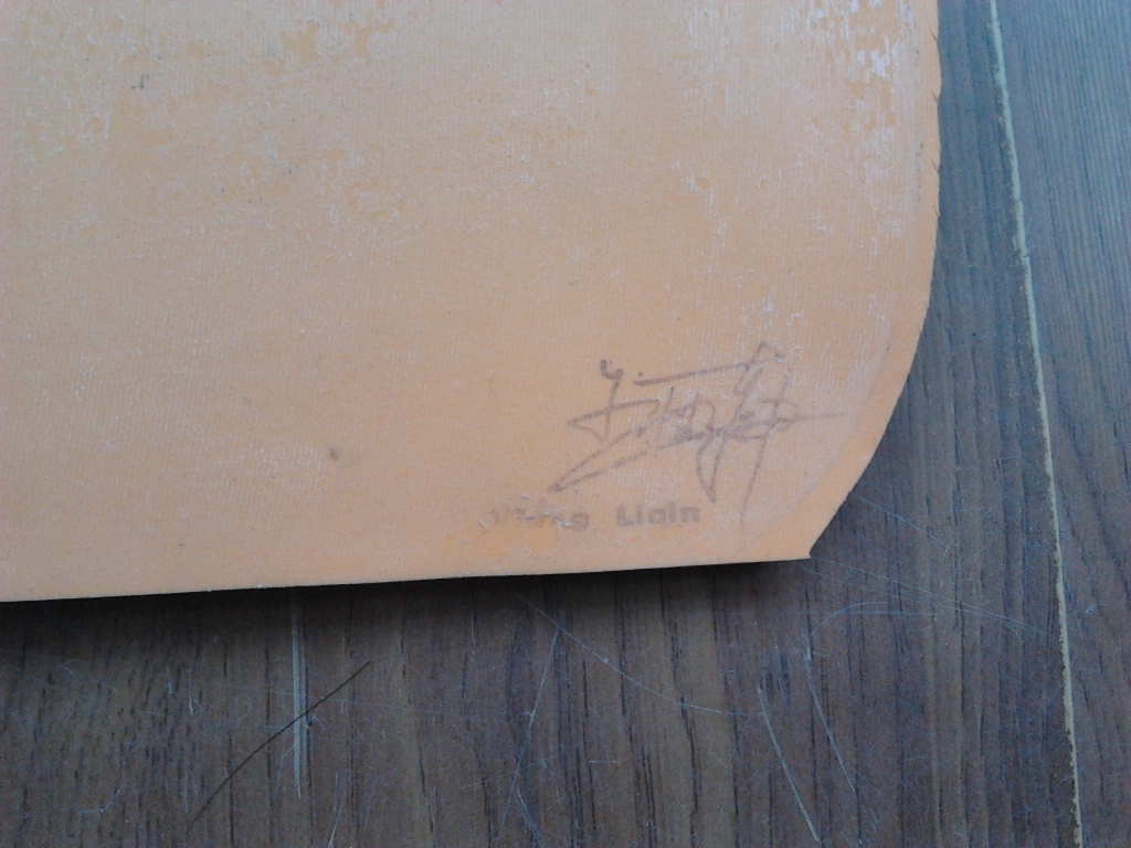 ��G��VIS���ټ������