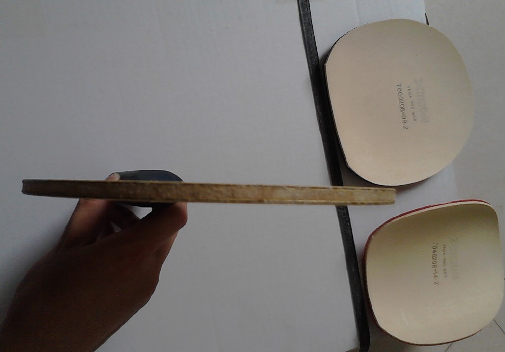 ֧������һ��ST����ALC���ƽ���������ɫ�ף��׽���~~~�۸���ţ�����~~��