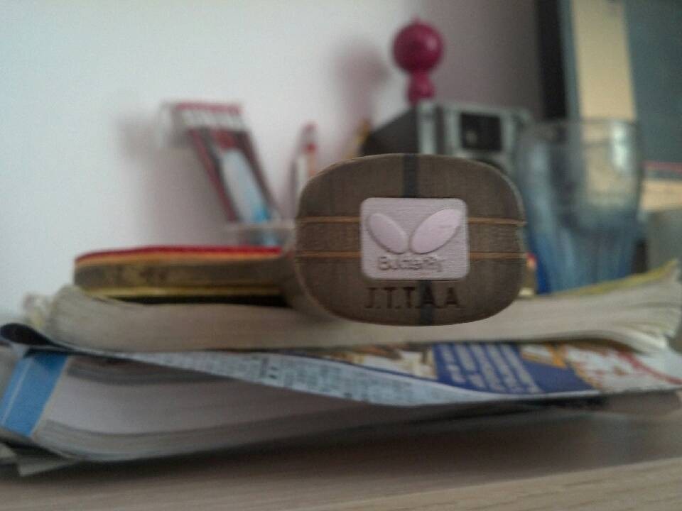 ����ľ÷��