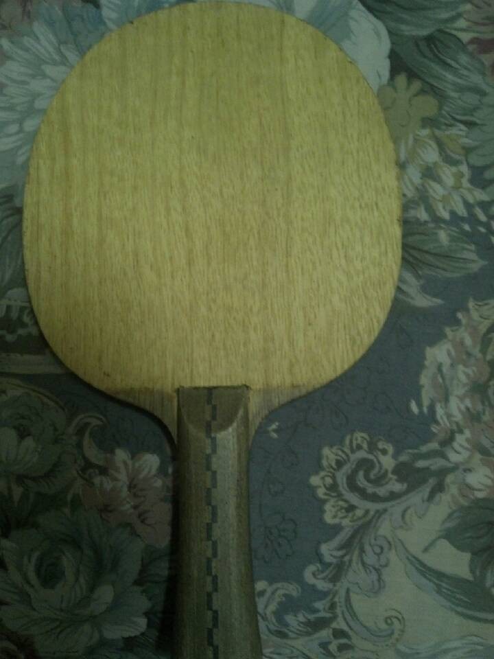 ����ľ÷��